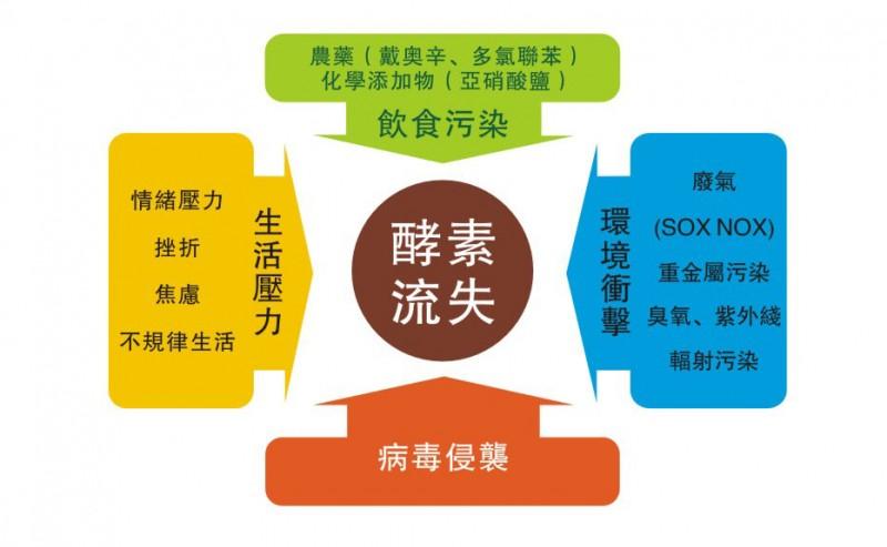 酵素真的能减肥吗,酵素真能减肥吗