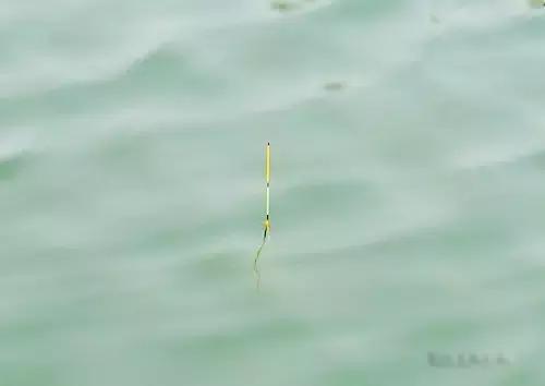 海竿野钓走漂的解决方法,野钓新手少走弯路攻略