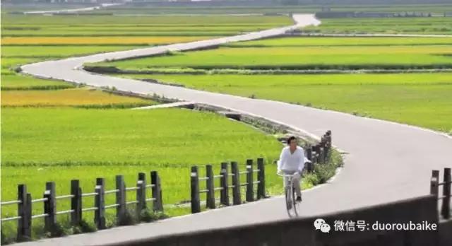 台湾寻肉之旅：小玲带你逛春节的台北花市！