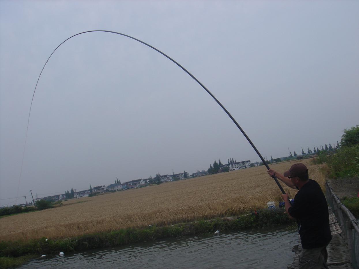 钓获巨鲤,钓巨型大鱼被伤