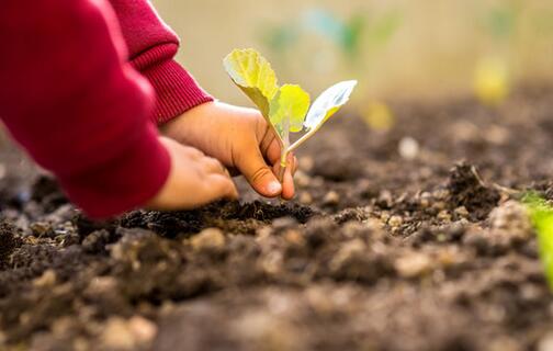 白癜风发病的诱因能查出来吗,赵毅白癜风治疗药物