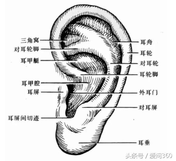 怀孕牙痛怎么办快速解决,晚上睡觉牙痛快速解决