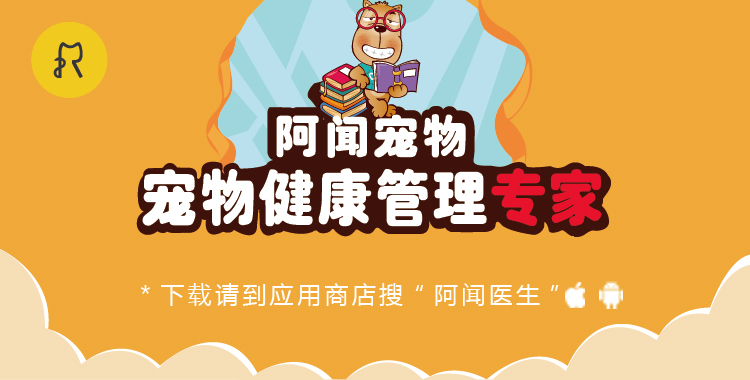 买到星期狗如何协商,同城闲鱼买到星期狗