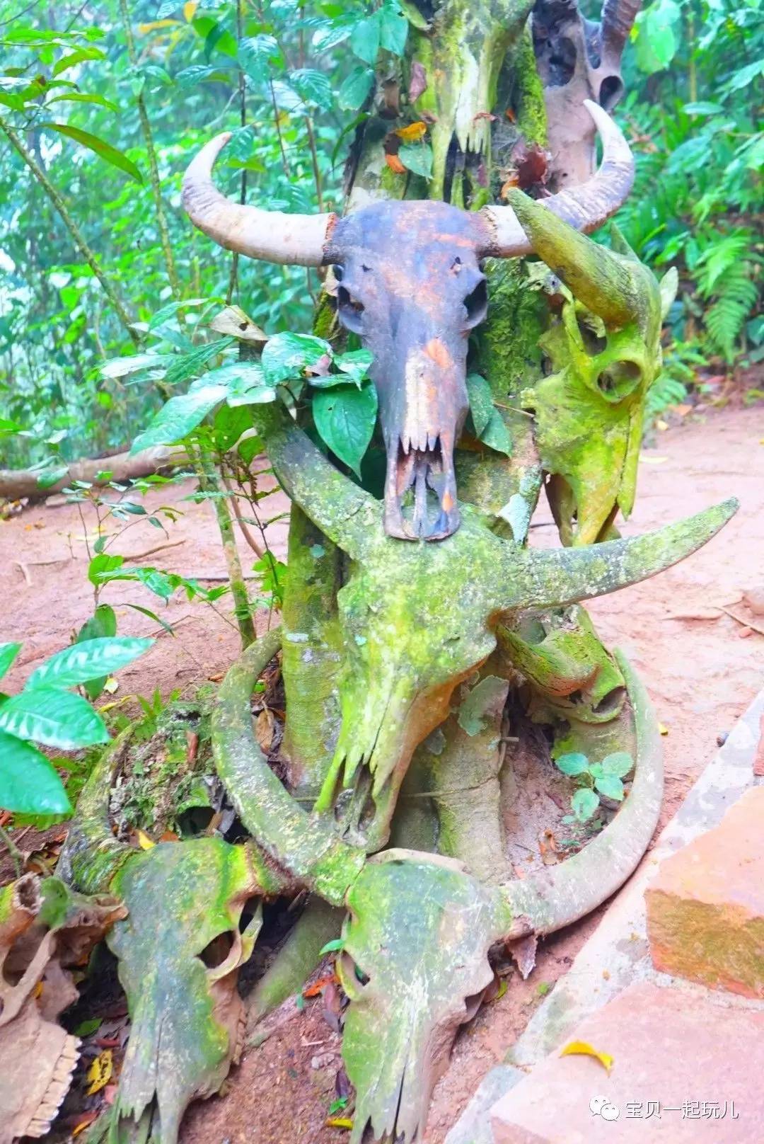 老娘的青春那么短，花点钱开心又何妨