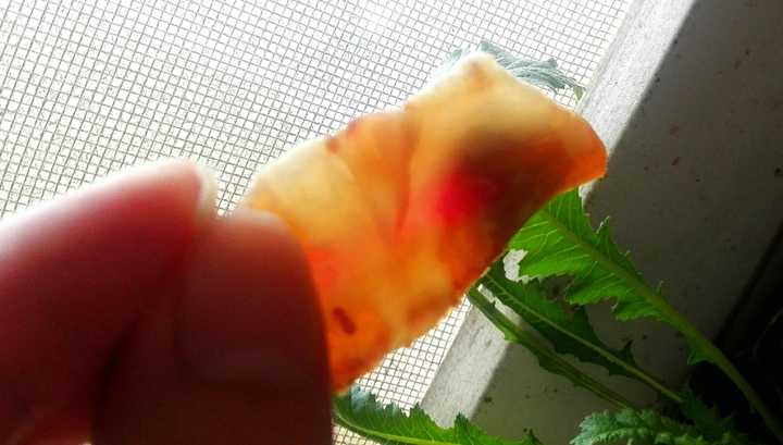 年味大作战本山传媒,年味十足的鞭炮大作战