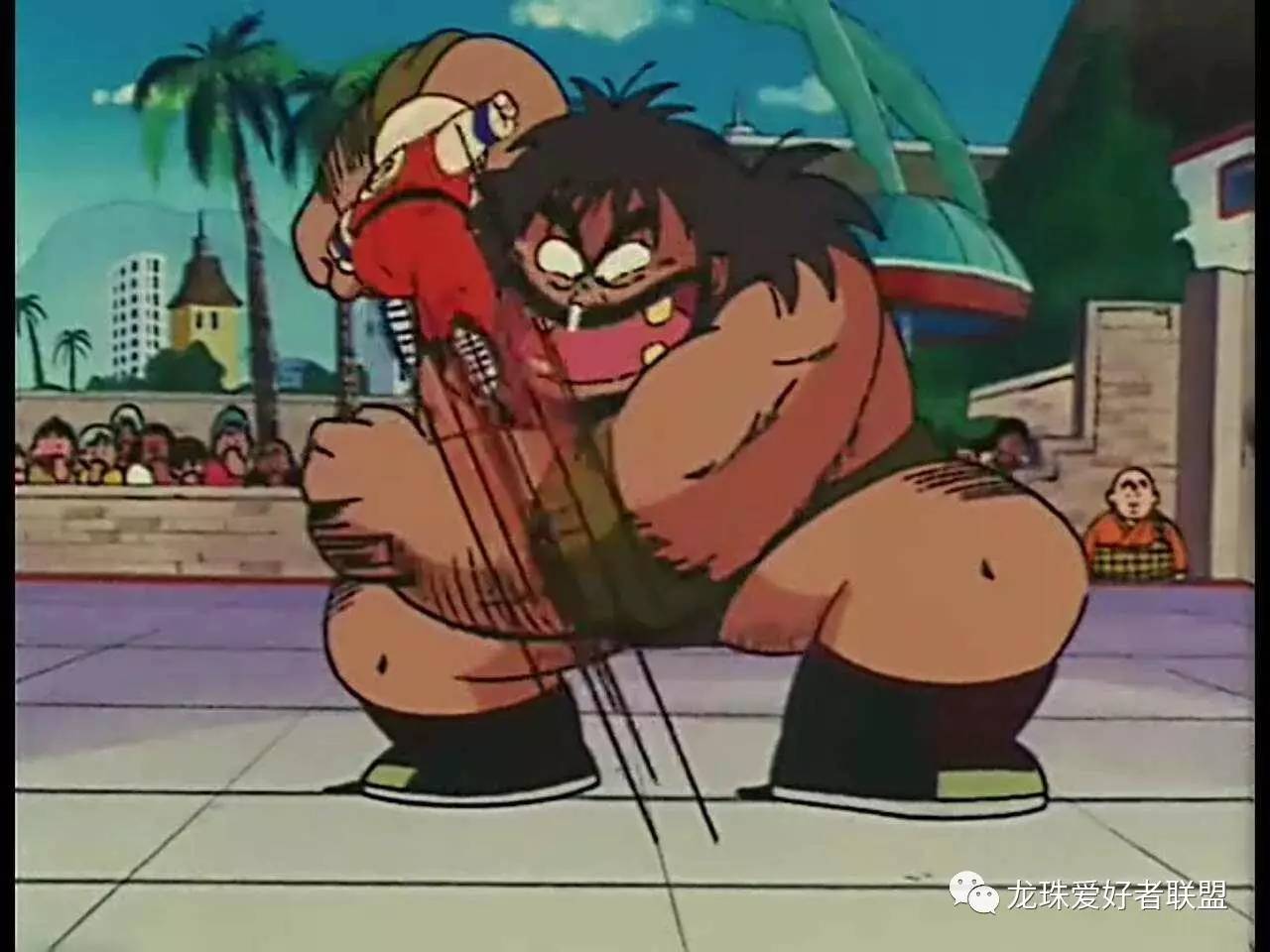 七龙珠小林最强之战,七龙珠第20集