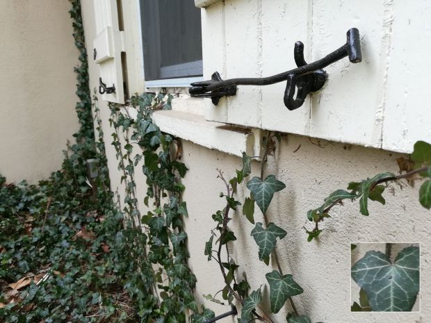 荣耀6x测评王者荣耀,荣耀6x现在值得入手么