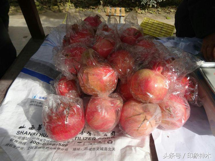 陕北俊俏女子勇闯袁家村大嘴吃四方