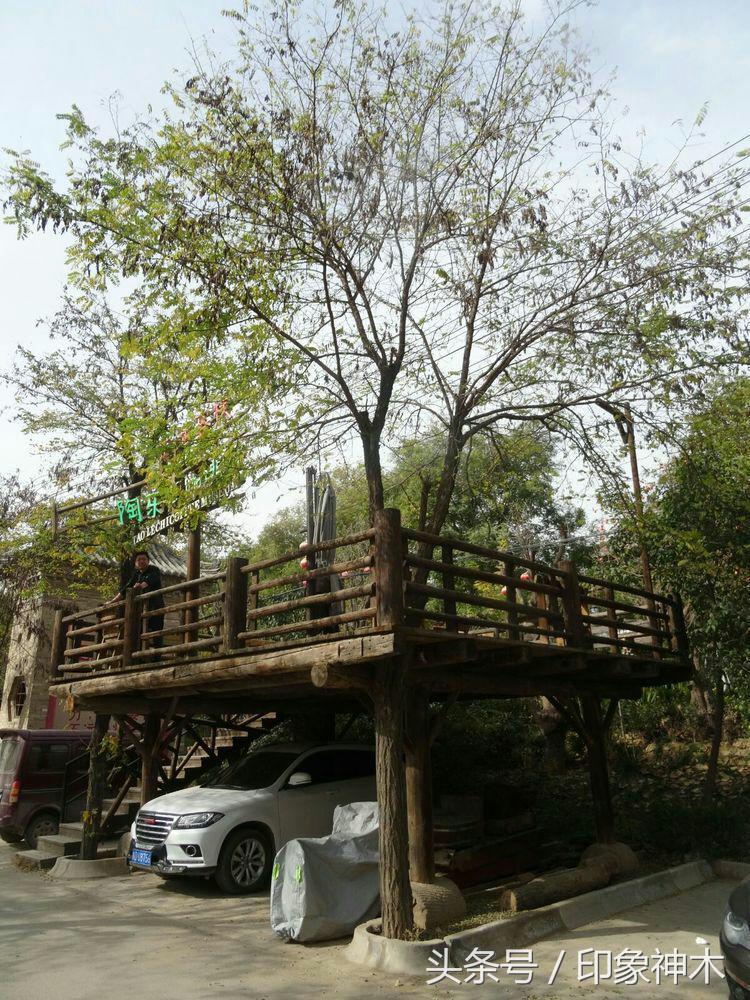 陕北俊俏女子勇闯袁家村大嘴吃四方