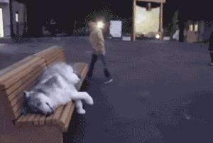 打针的搞笑动图,医生打针图片搞笑