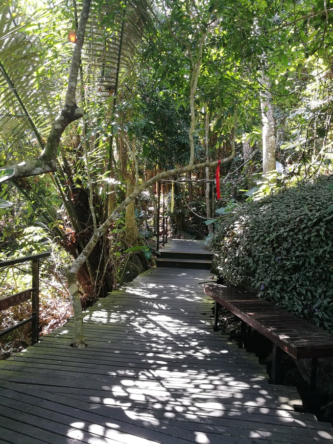 三亚旅游美食攻略大全,三亚美食美篇