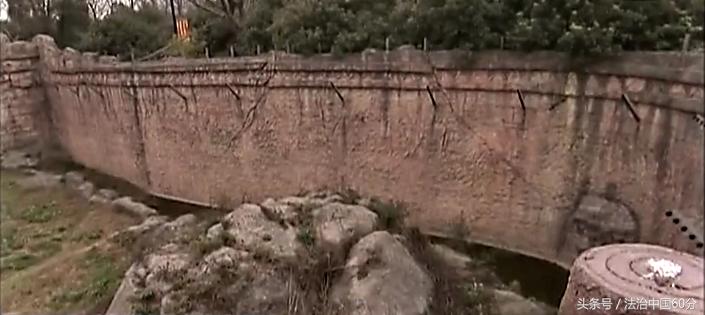 湖北男子携一家四口到宁波雅戈尔动物园游玩，不料就此丢了性命