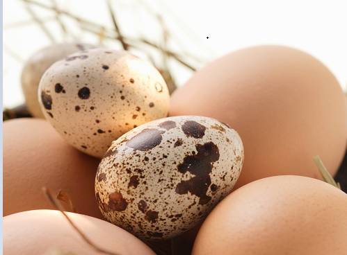 补脑蛋、考试蛋,真信才是“笨蛋”