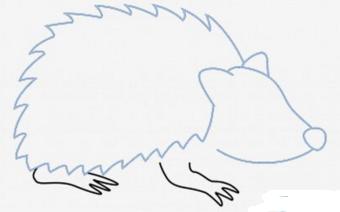 刺猬简笔画怎么画视频,刺猬简笔画手工