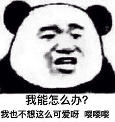 你问题好多怎么回复,你怎么这么多问题表情包