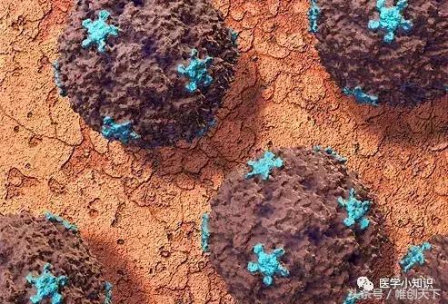 鼻窦炎图片和治疗方法,副鼻窦炎最好的治疗方法