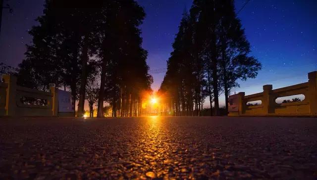 过年上海周边旅游最值得去的地方,上海假期周边旅游攻略大全