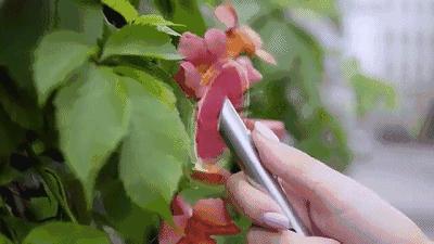 神奇智能的画笔,神奇画笔能画出渐变色