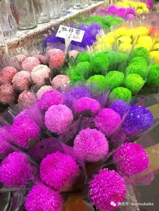 台湾寻肉之旅：小玲带你逛春节的台北花市！