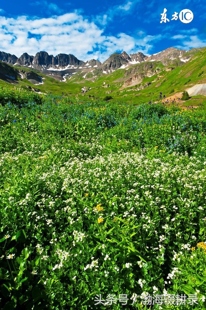 八字命理不好如何补救,生辰八字的命理基础知识