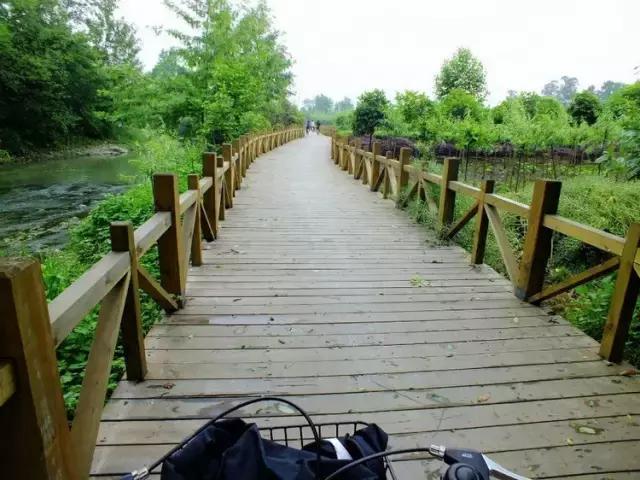 鑺辨捣閲嶇鏉ヨ,鑺辨捣鏉ヨ