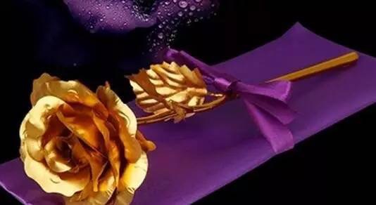 情人节情人劫后续,情人节金玫瑰