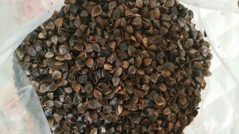 情人节礼物送老婆枕头,情人节枕头双人