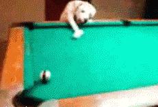 球类项目有哪些,最消耗体力的球类排名