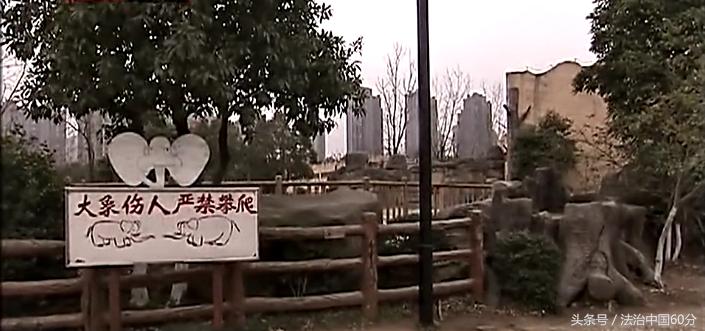 男子逃票误入虎园被老虎咬死,游客逃票误入虎园遭老虎围攻咬死