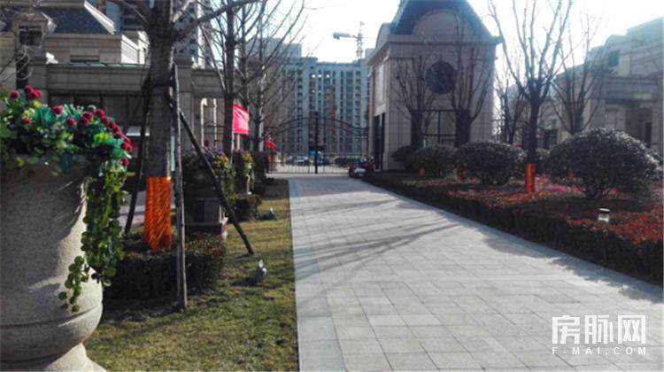 教育小区二手房买房,悦美国际和万科城润园哪个好