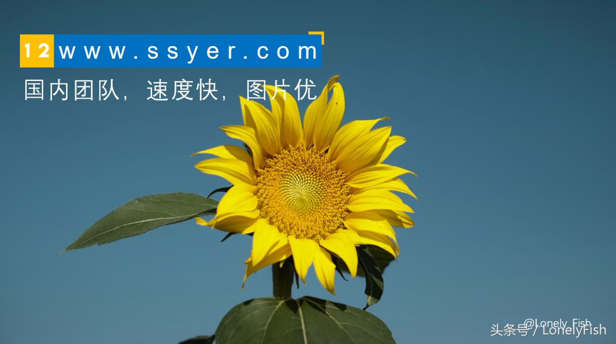 25个优质免费可商用图片素材网站,29个免费的图片编辑网站