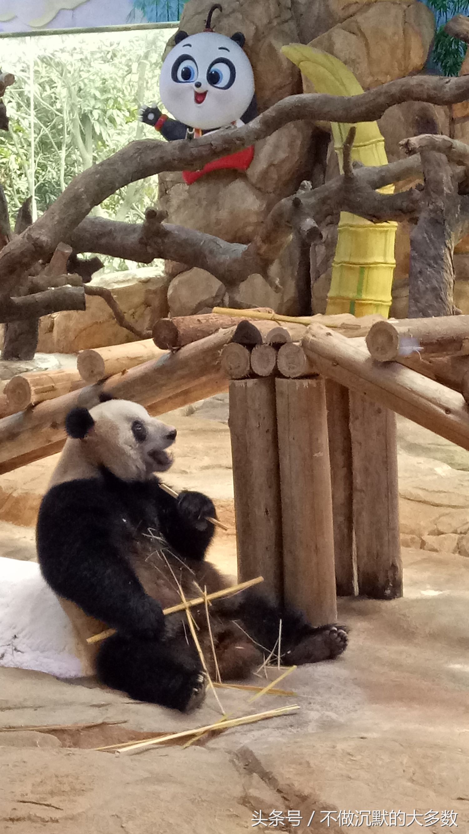 广州长隆野生动物园金蛇秘境直播,长隆野生动物园金蛇秘境害怕吗