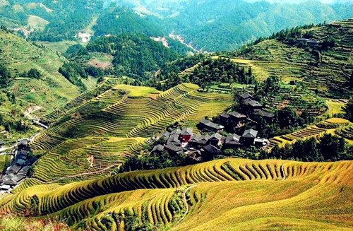 宝宝跌打淤青不消除,宝宝摔倒淤血需要处理吗