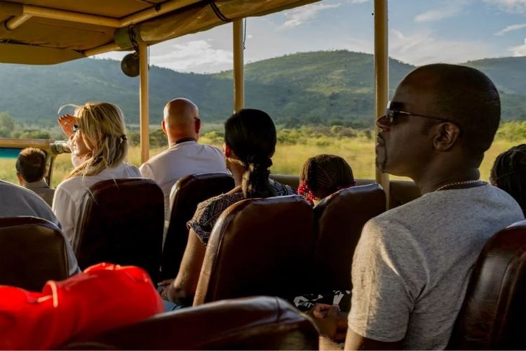 走进彩虹之国感受南非独特之美,彩虹之国南非