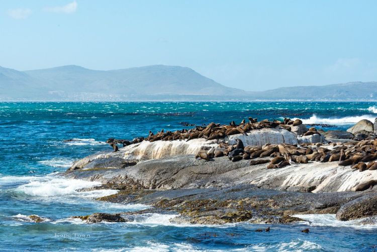 走进彩虹之国感受南非独特之美,彩虹之国南非