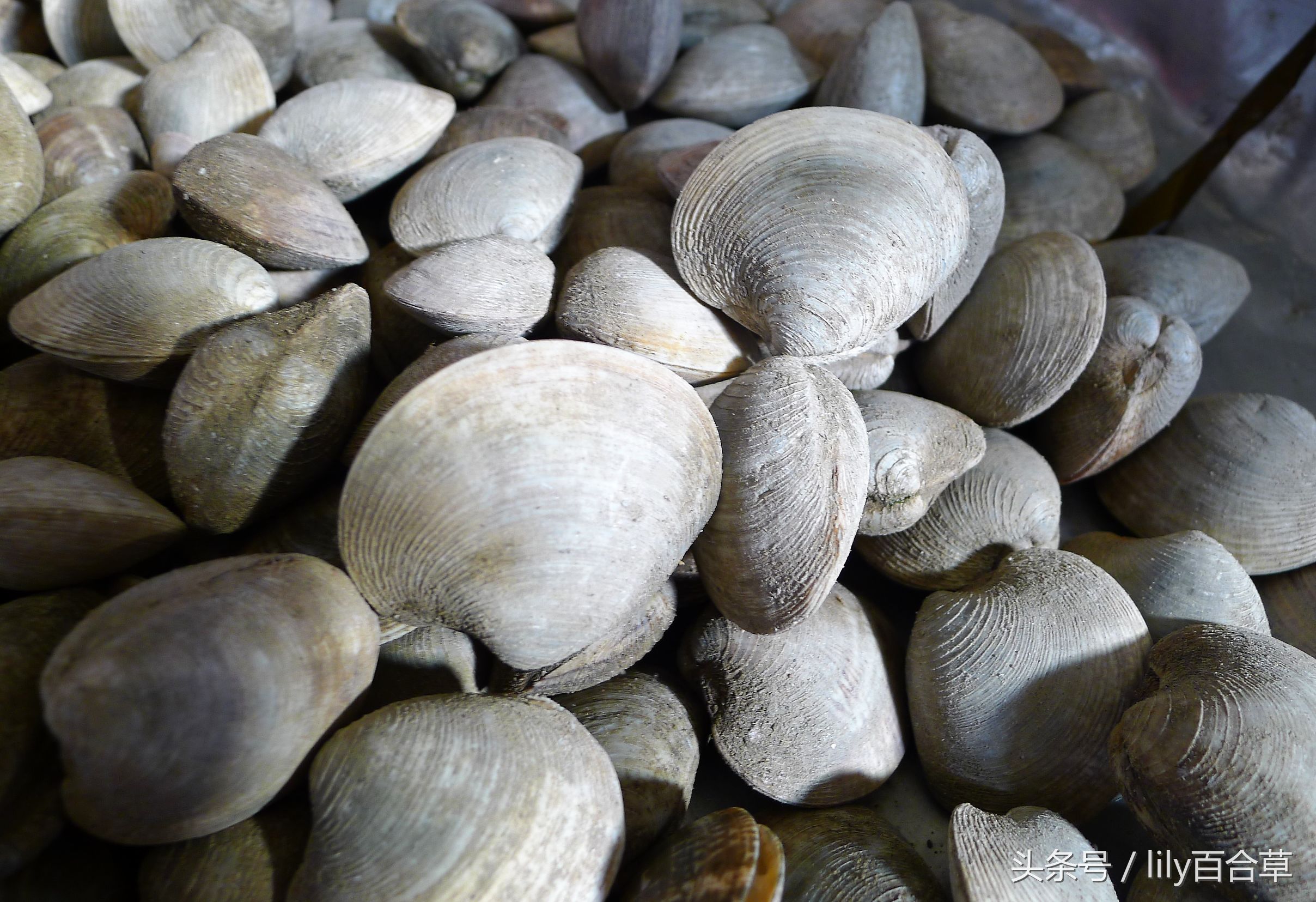 吃海鲜适合带什么,回家路上可以带海鲜吗