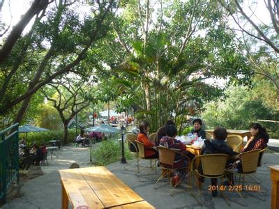 厦门慢节奏攻略,厦门慢生活攻略