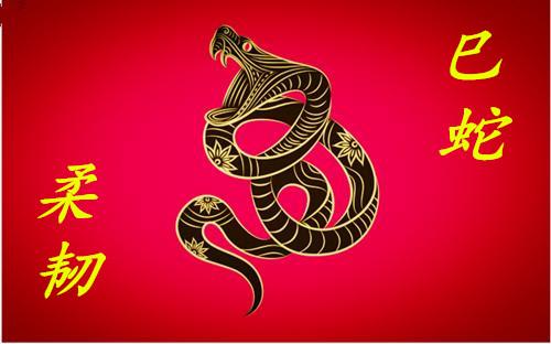 12生肖情感终极配对,12生肖婚姻最佳配对表大全