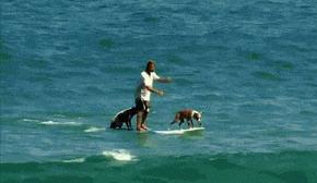 十个笑话简短,十个笑话经典