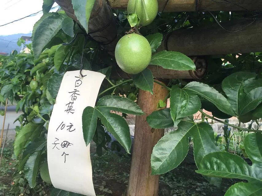 八千里路云和月的上一句,八千里路云和月一骑绝尘上珠峰