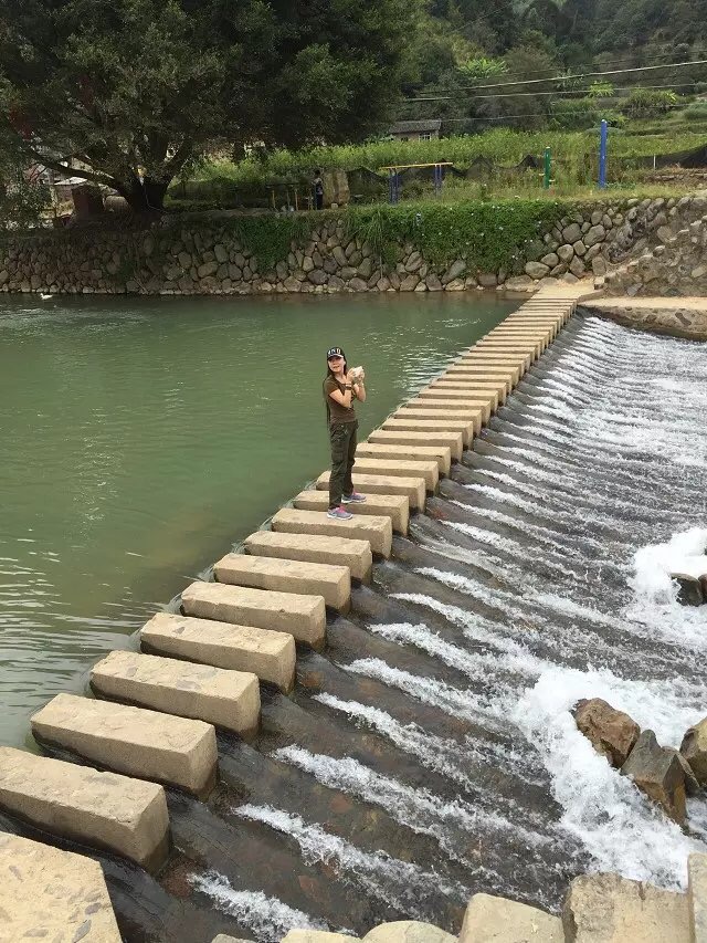 八千里路云和月的上一句,八千里路云和月一骑绝尘