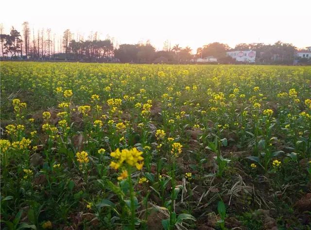 珠海走走逛逛,珠海吃喝玩乐游玩攻略