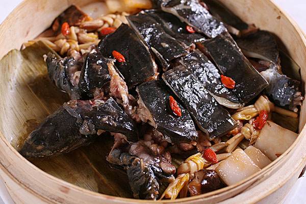 捉甲鱼技术视频,捕甲鱼绝技