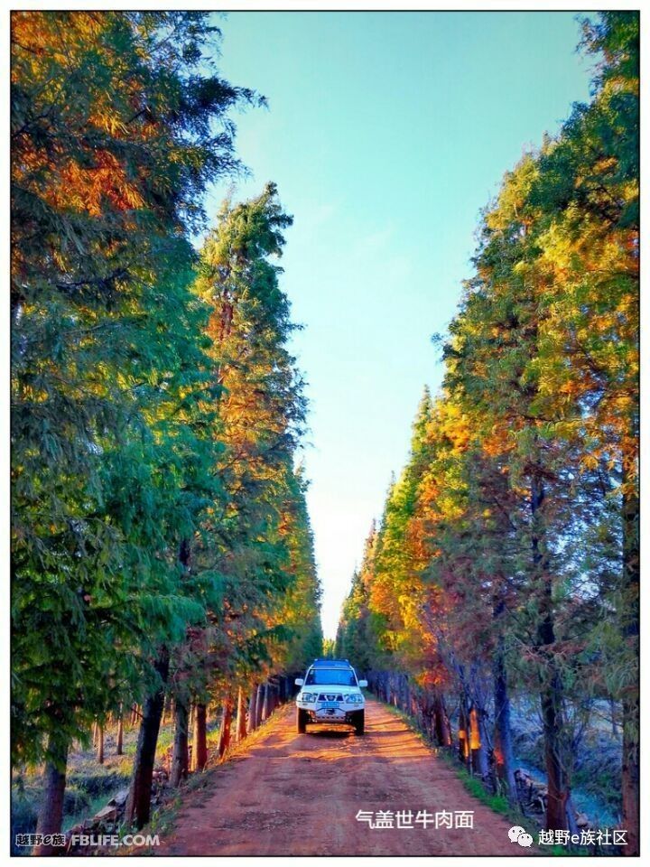 贺岁心得，我和帕拉丁，不得不说的故事！