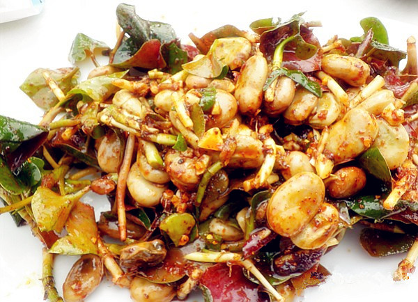 折耳根的108种做法,贵之味折耳根油辣椒贵州特产