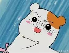 肉丸的真假对人体有害吗,市面上普通的肉丸成分安全吗