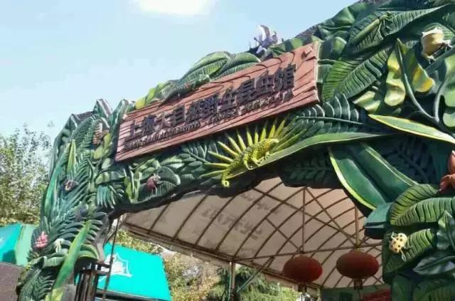 上海各条地铁线沿途景点大全,上海最惊艳的地铁路线