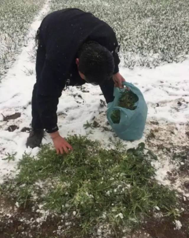 昨天过节又被虐了吧，快读十篇好文章恢复元气
