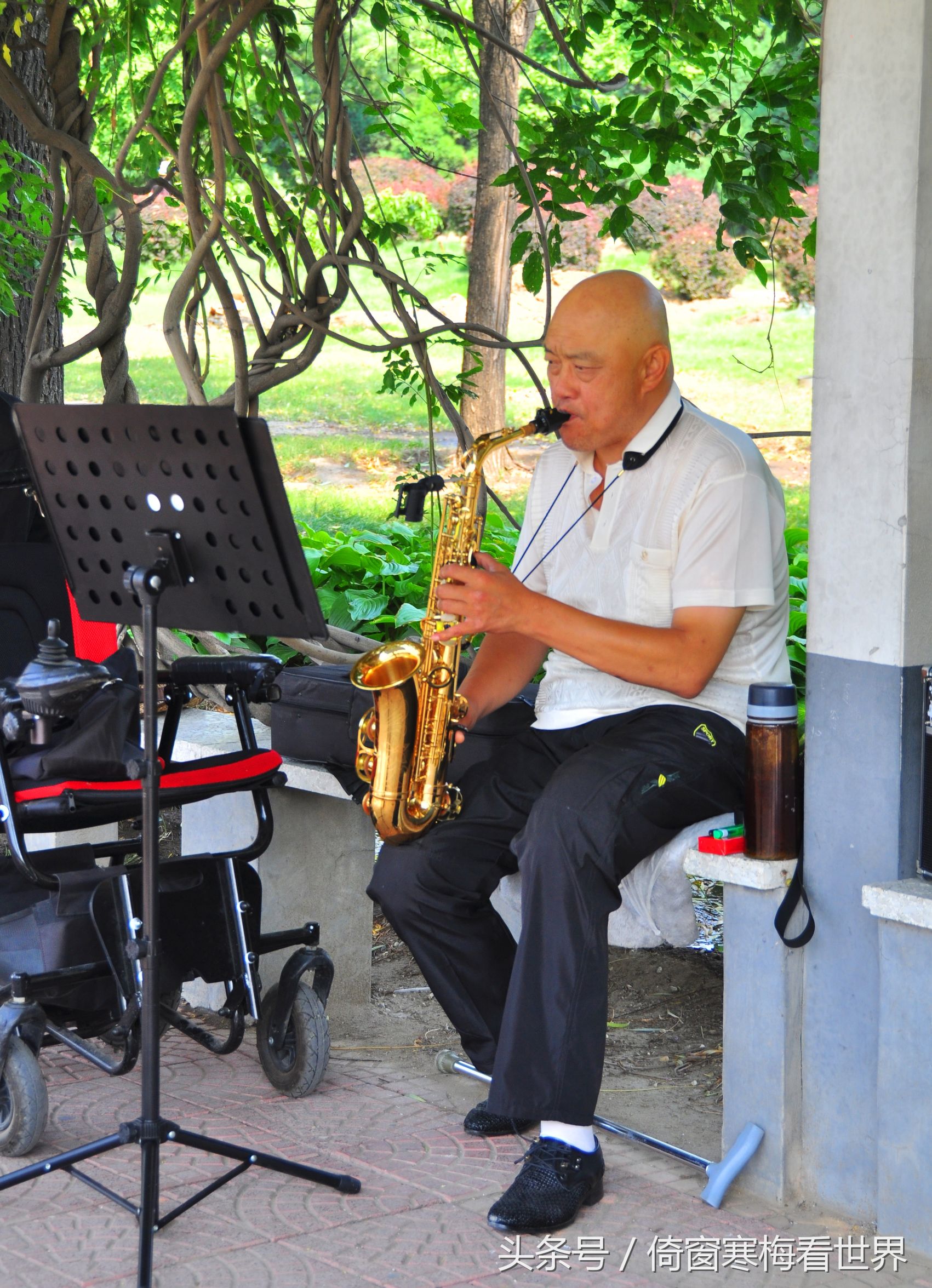 以莲花为名的景点,北京莲花池公园里有莲花亭吗
