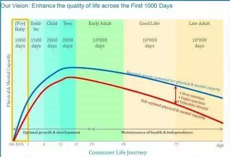 奶粉荷兰原装的有哪些,奶粉荷兰进口的怎么样